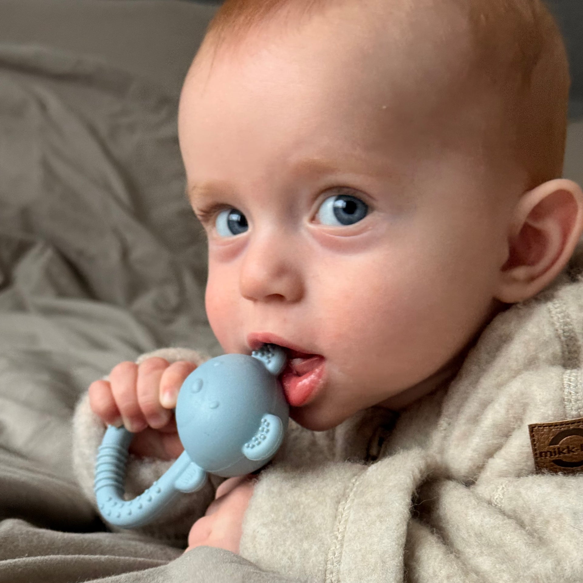 Rasle Bidering i silikone - Bjørn