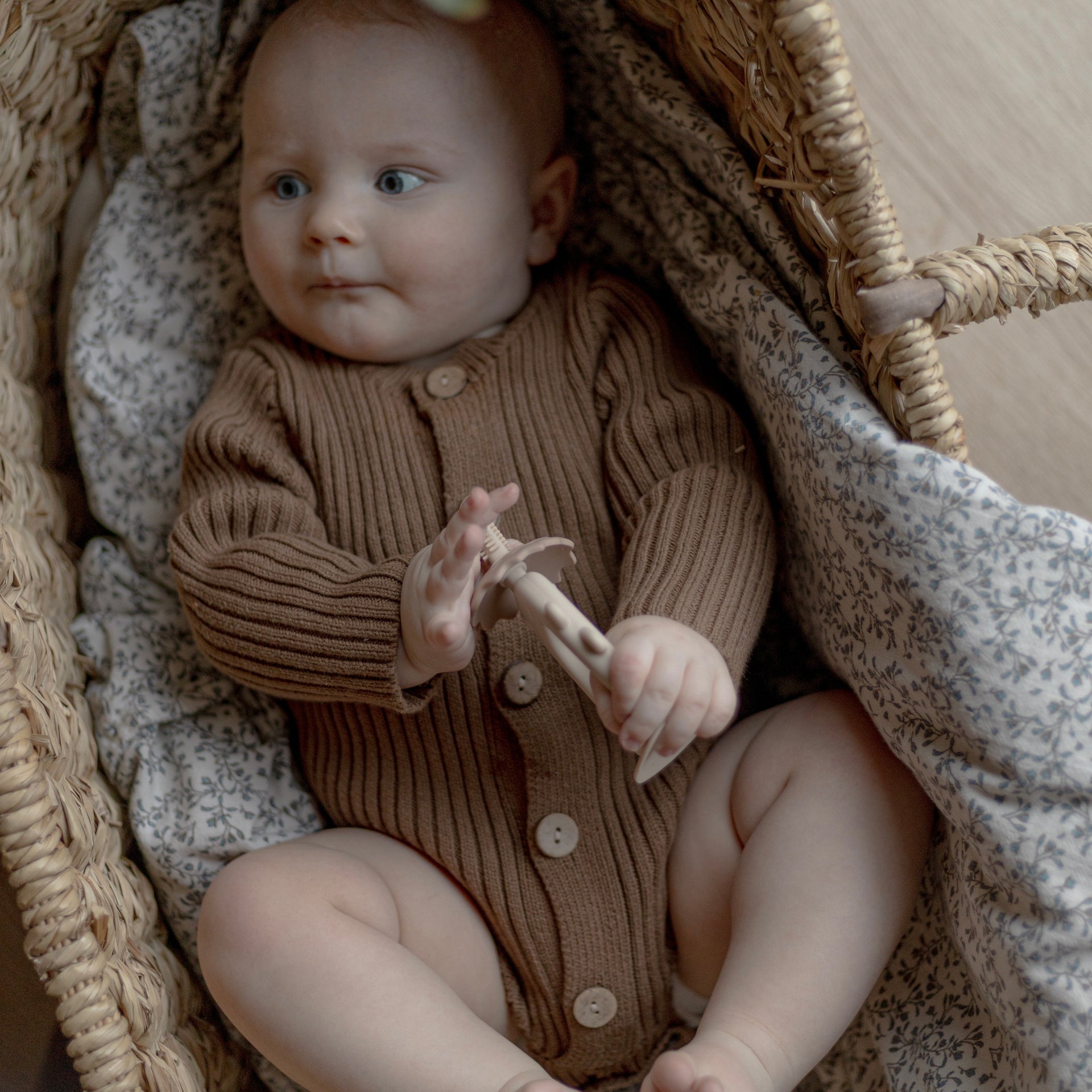 Dino tandbørste bidering