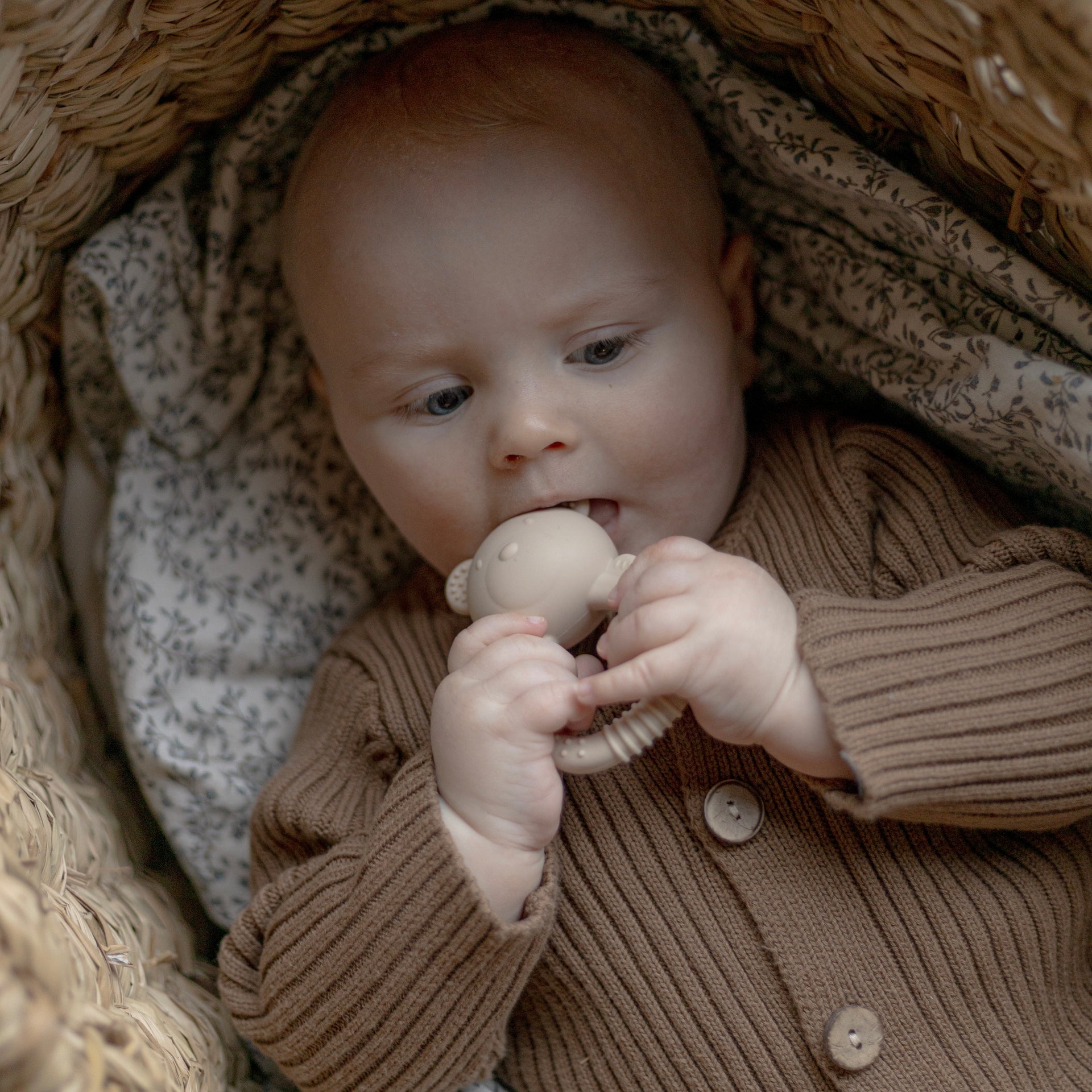 Rasle Bidering i silikone - Bjørn