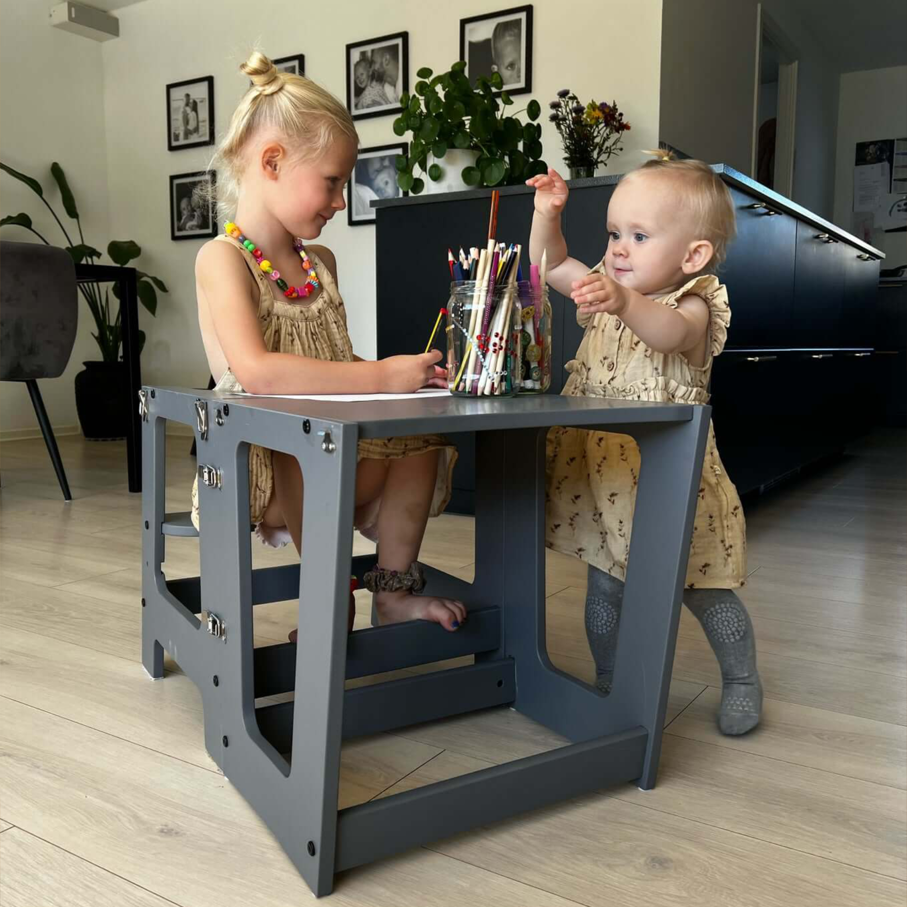 Maya Lärandetorn Pro