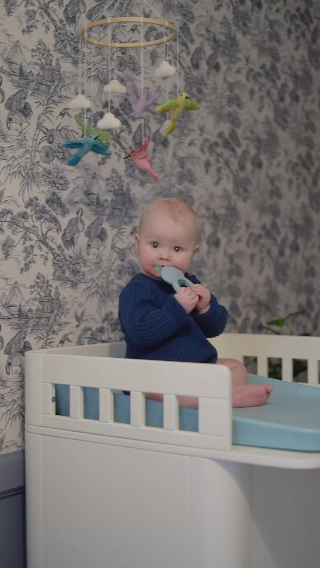 Ladda video: Bitring med Kyla